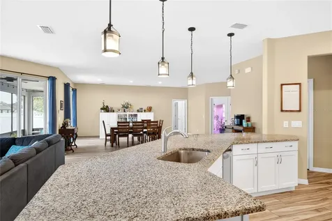 36452 Grand Island Oaks Circle Grand Island FL 32735