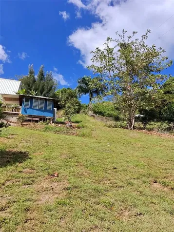 717 Carr. 717, 4.2 Int, Lot 5 Aibonito PR 00705
