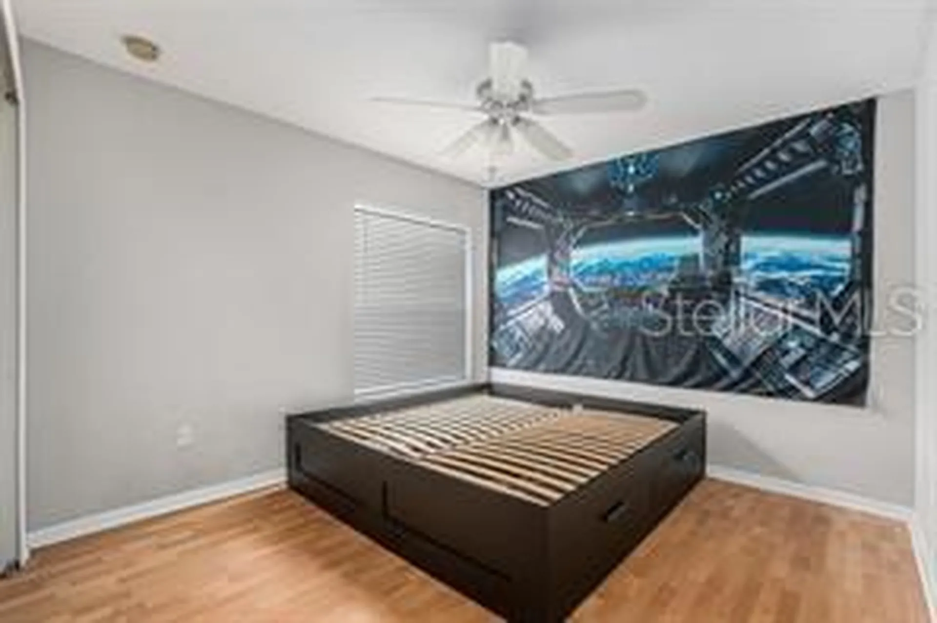 10039 Creek Bluff Drive Riverview FL 33578