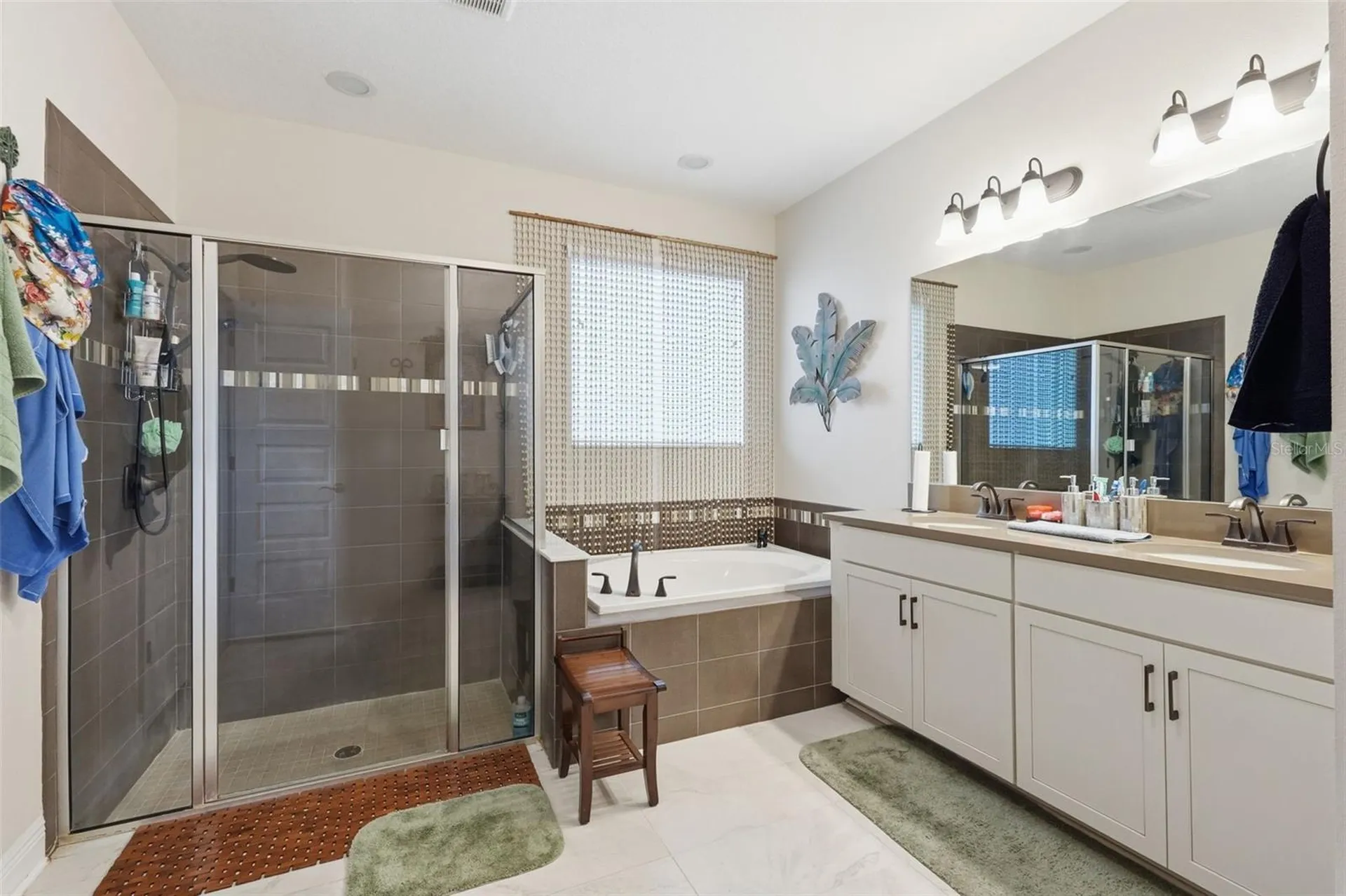 10133 Tuscan Sun Avenue Riverview FL 33578