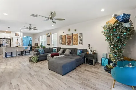 10133 Tuscan Sun Avenue Riverview FL 33578