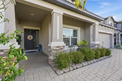 10133 Tuscan Sun Avenue Riverview FL 33578