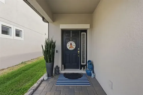 10133 Tuscan Sun Avenue Riverview FL 33578