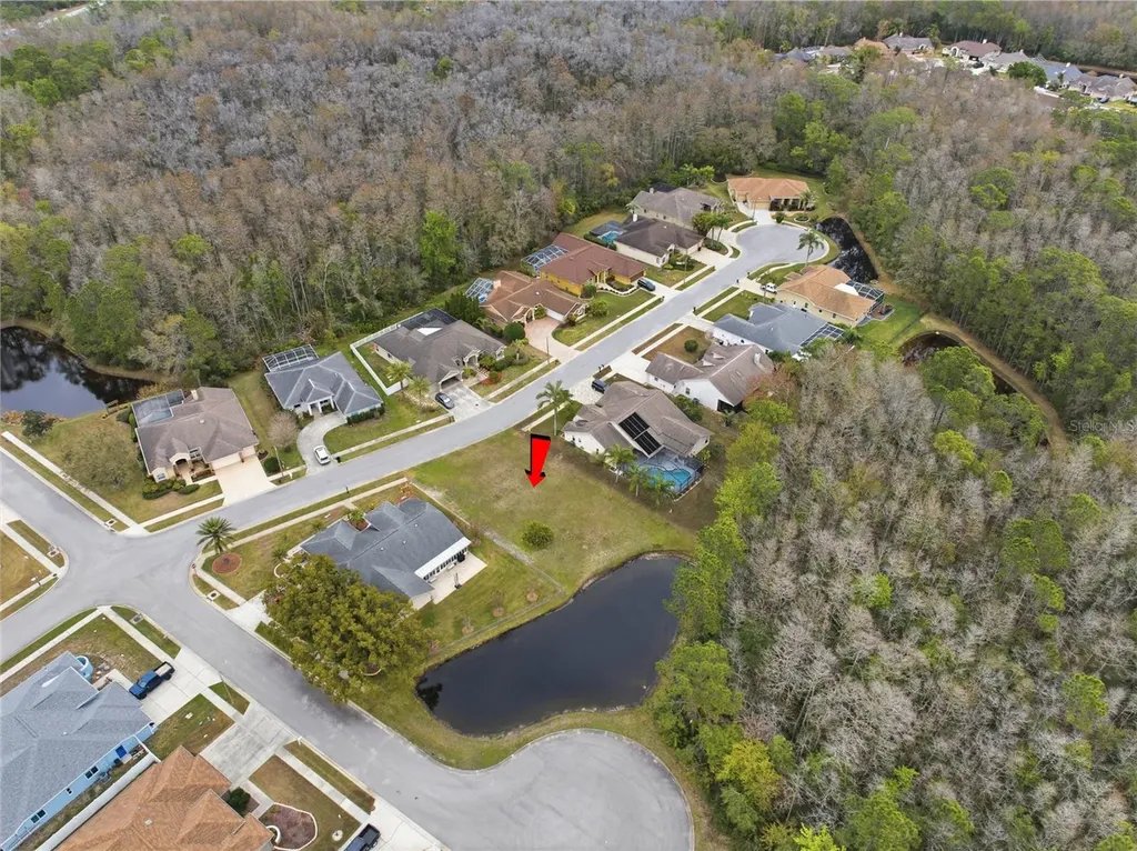 1522 Haverhill Drive New Port Richey FL 34655
