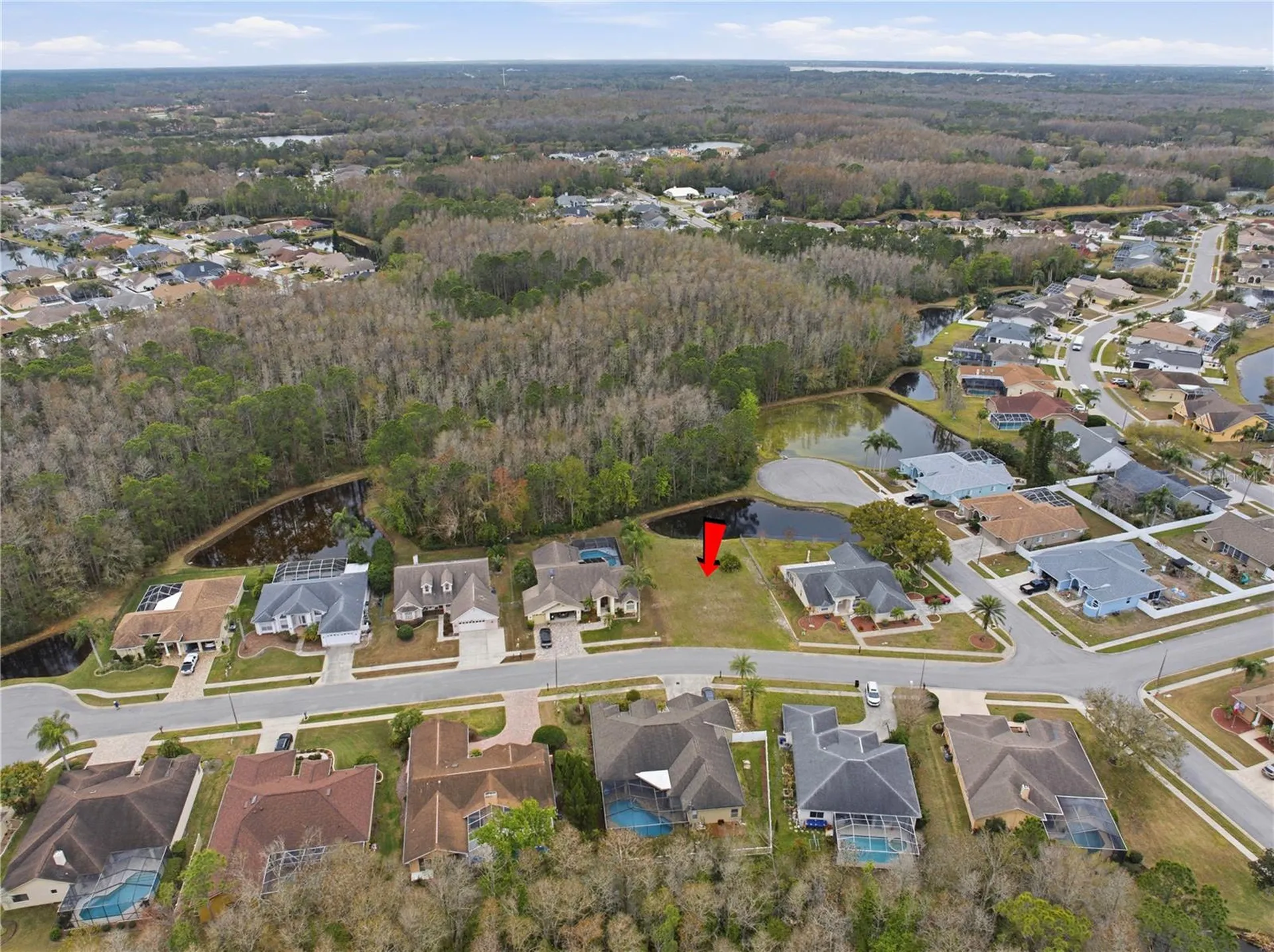 1522 Haverhill Drive New Port Richey FL 34655