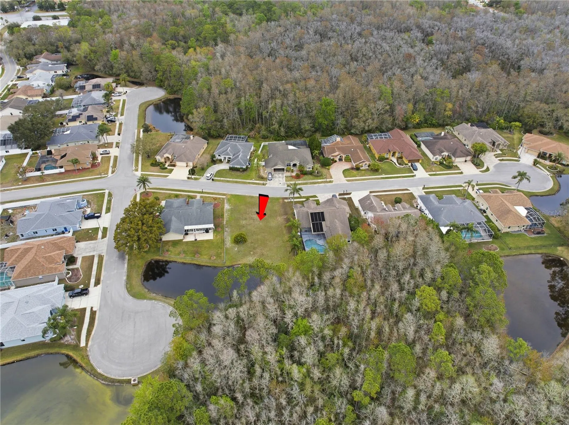 1522 Haverhill Drive New Port Richey FL 34655