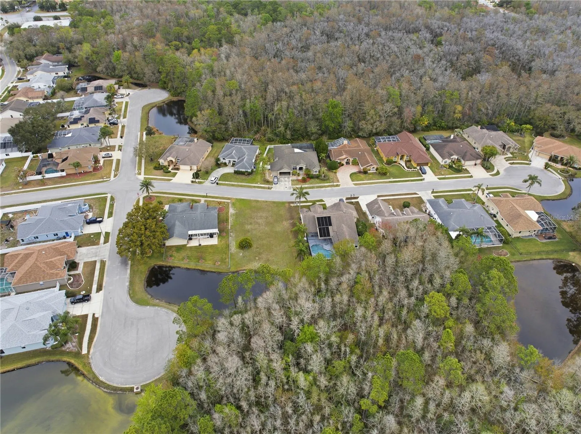 1522 Haverhill Drive New Port Richey FL 34655