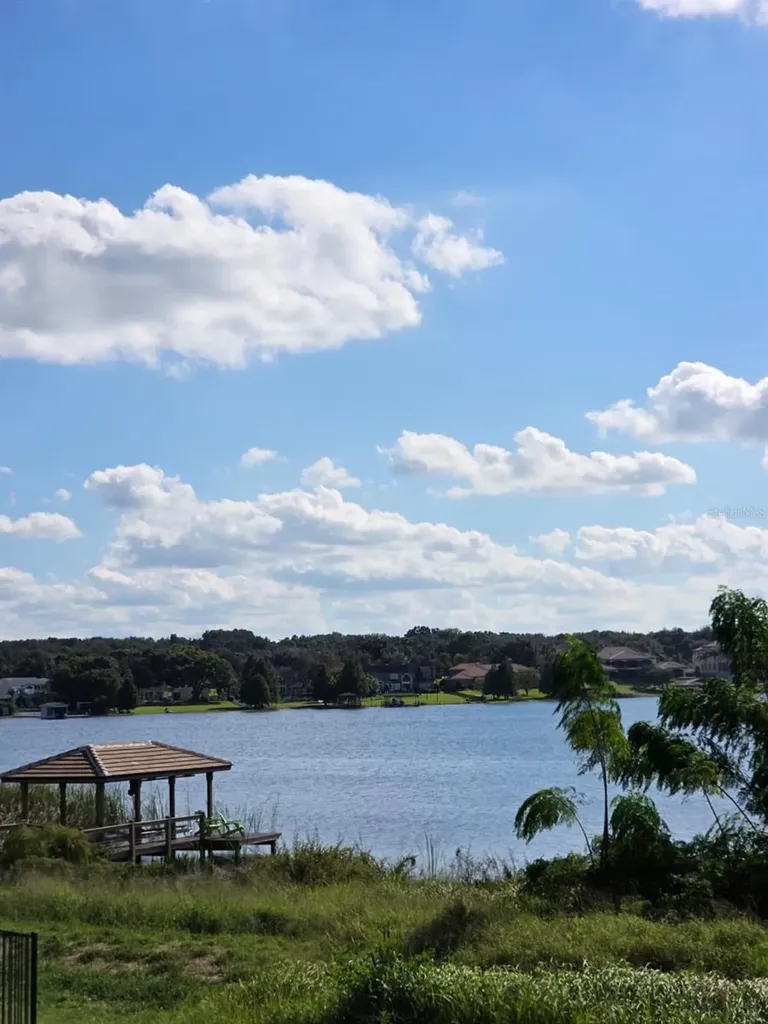 1330 Lake Olivia Windermere FL 34786
