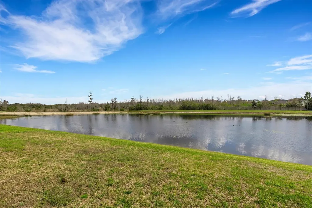 19298 Blue Pond Drive Lutz FL 33558