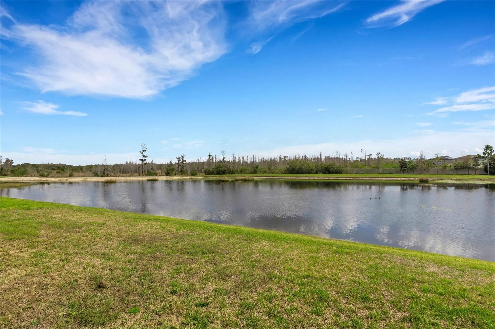 19298 Blue Pond Drive Lutz FL 33558