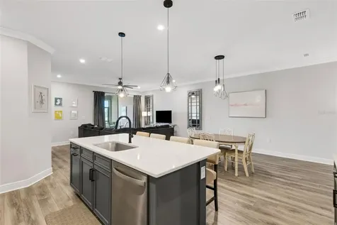 19298 Blue Pond Drive Lutz FL 33558