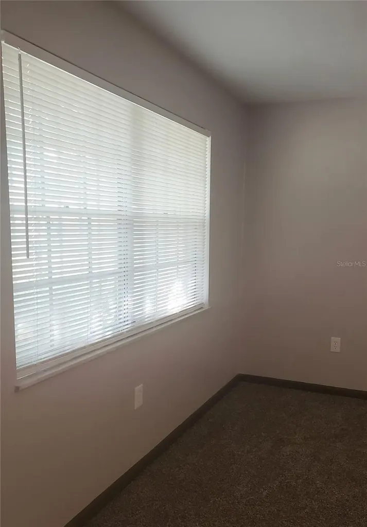 5652 18th Street Zephyrhills FL 33542