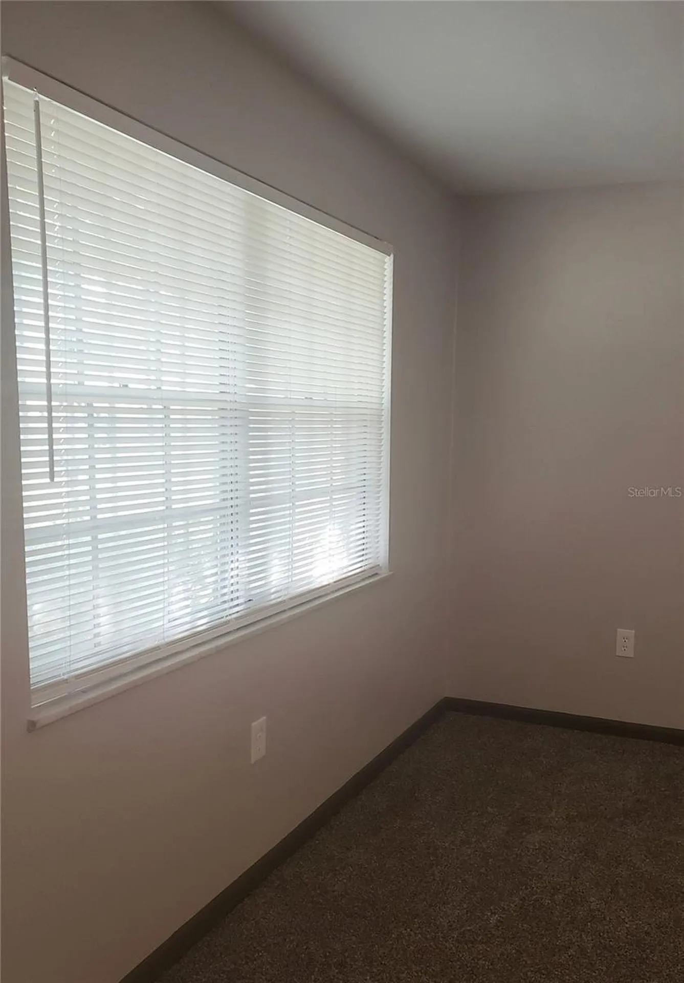 5652 18th Street Zephyrhills FL 33542