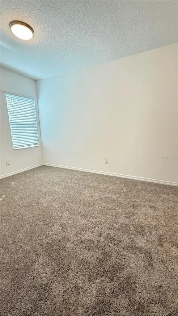 2564 Sedge Grass Way Orlando FL 32824