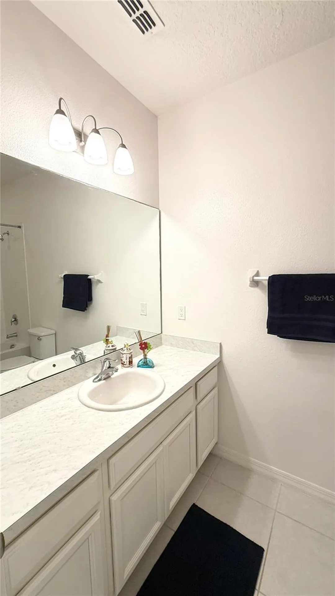 2564 Sedge Grass Way Orlando FL 32824