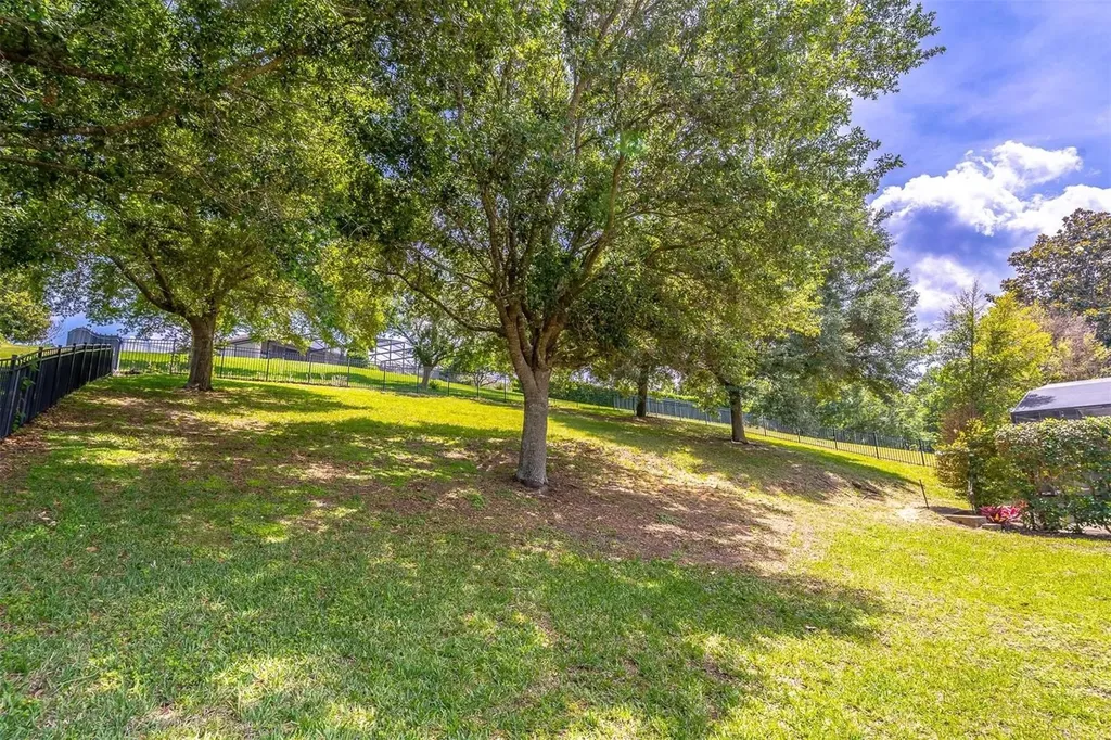 16846 Florence View Drive Montverde FL 34756