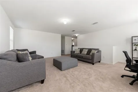 3658 Maidencain Street Clermont FL 34714