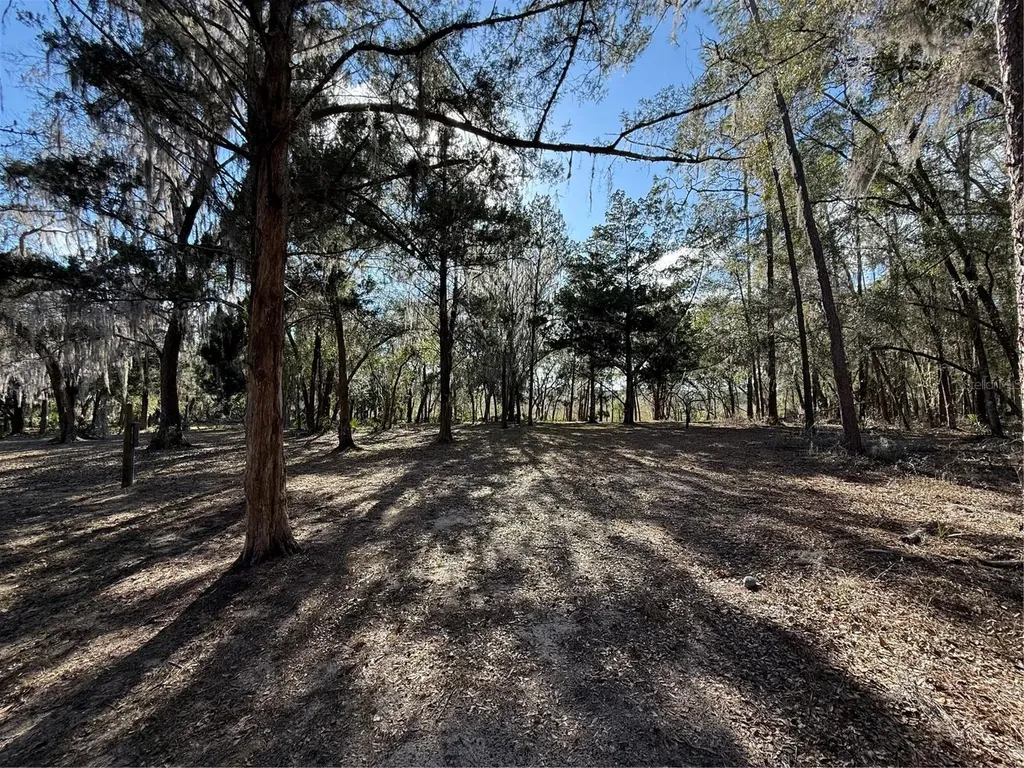 17830 NE 49th Street Road Silver Springs FL 34488