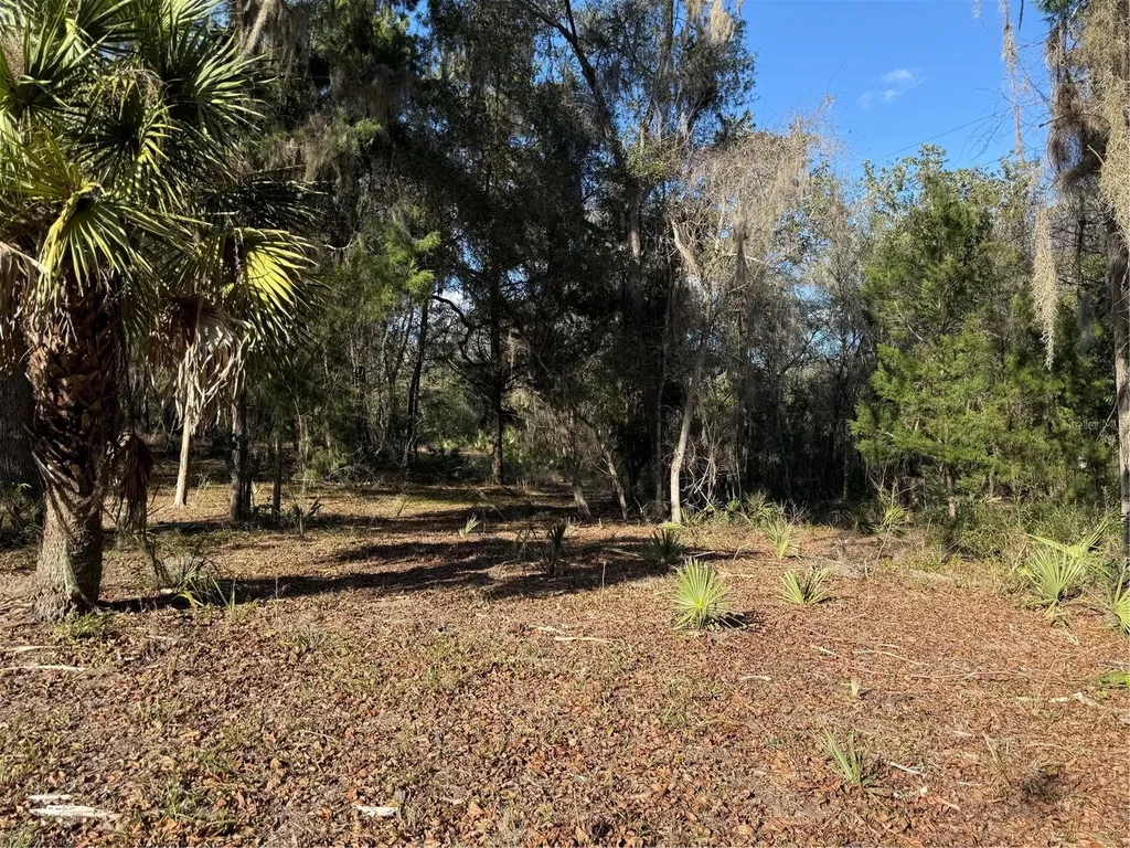 17830 NE 49th Street Road Silver Springs FL 34488