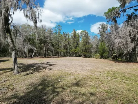 17830 NE 49th Street Road Silver Springs FL 34488