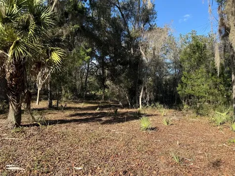 17830 NE 49th Street Road Silver Springs FL 34488
