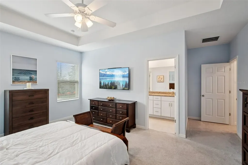 34196 Rogallo Lane Wesley Chapel FL 33545
