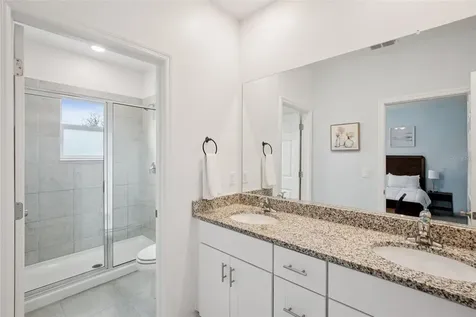 34196 Rogallo Lane Wesley Chapel FL 33545