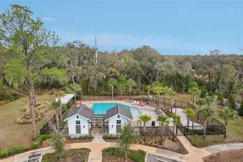 34196 Rogallo Lane Wesley Chapel FL 33545