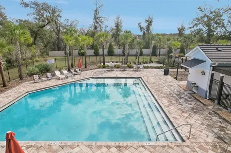 34196 Rogallo Lane Wesley Chapel FL 33545