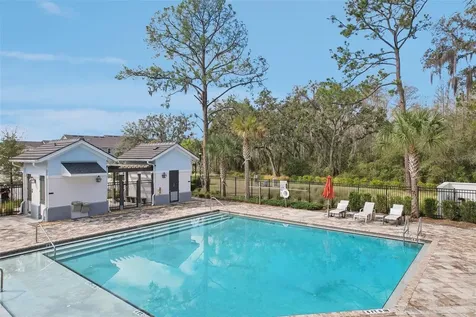 34196 Rogallo Lane Wesley Chapel FL 33545