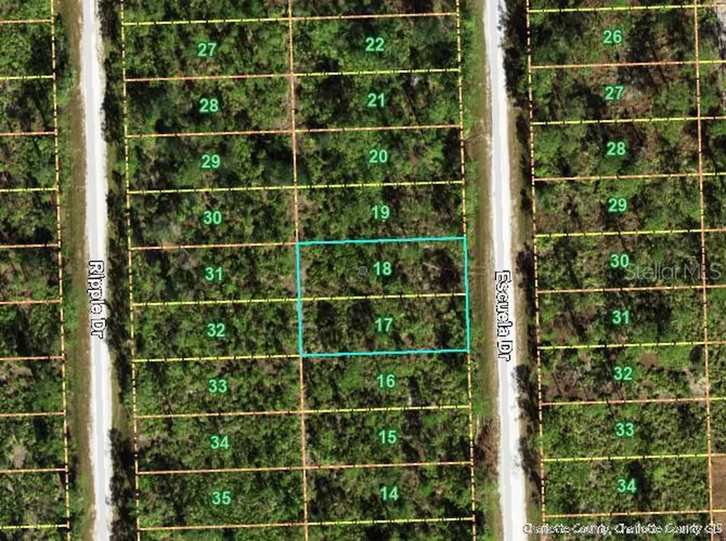 12297 Escuela Drive Punta Gorda FL 33955