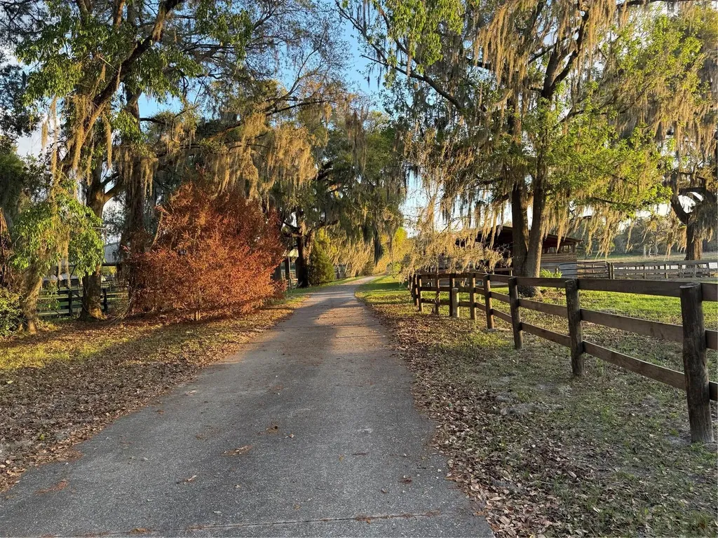 10555 NW 28th Place Ocala FL 34482