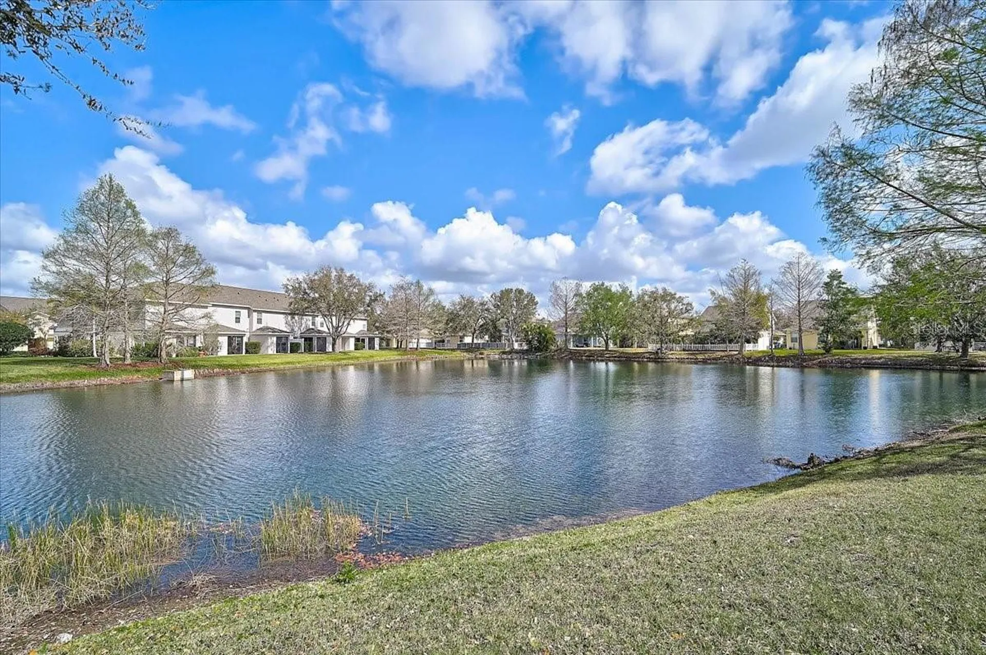 14931 Amberjack Terrace Lakewood Ranch FL 34202