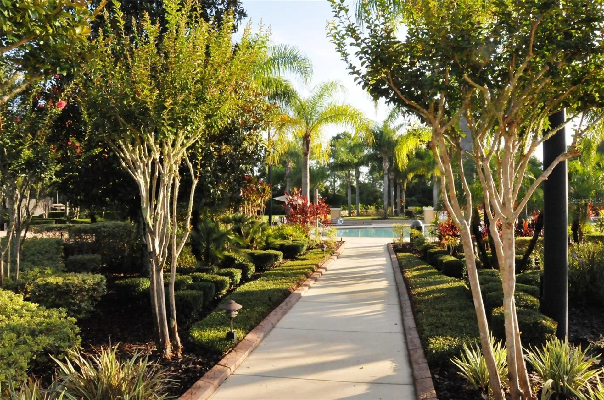 3715 Safflower Terrace Oviedo FL 32766