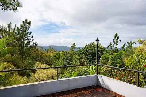 Carr. 739, Km. 3.4 Camino Monticello Cidra PR 00739