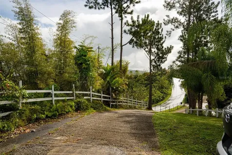 Carr. 739, Km. 3.4 Camino Monticello Cidra PR 00739