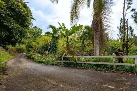 Carr. 739, Km. 3.4 Camino Monticello Cidra PR 00739