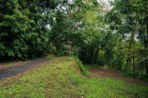 Carr. 739, Km. 3.4 Camino Monticello Cidra PR 00739