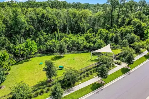 17588 Lake Star Road Winter Garden FL 34787