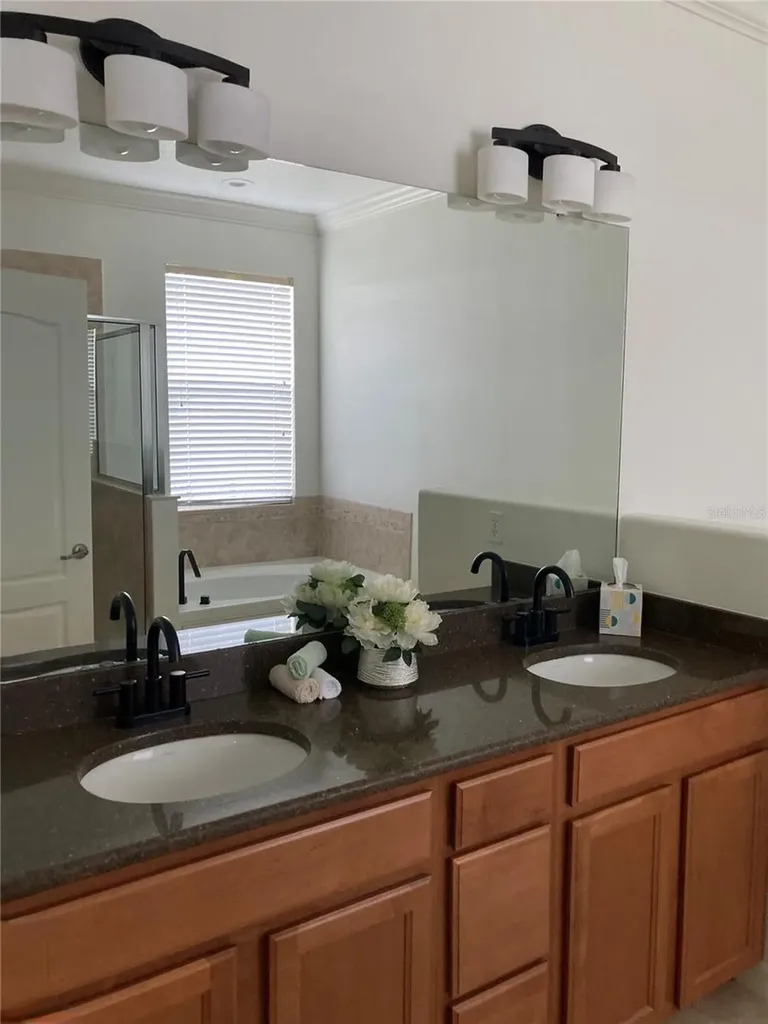 2543 Balforn Tower Way Winter Garden FL 34787