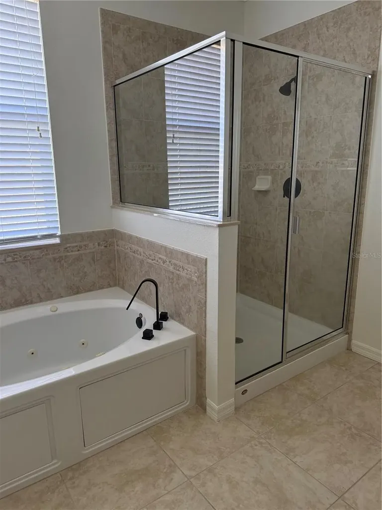 2543 Balforn Tower Way Winter Garden FL 34787