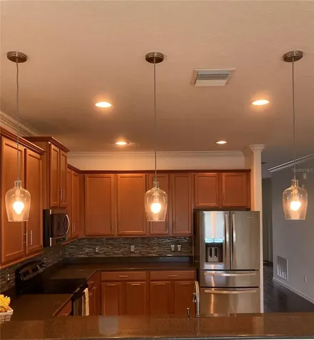 2543 Balforn Tower Way Winter Garden FL 34787
