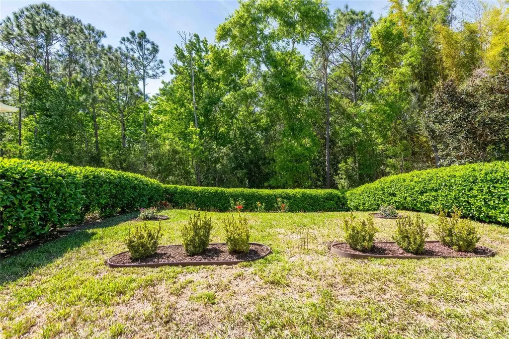 2821 Devonoak Boulevard Land O Lakes FL 34638