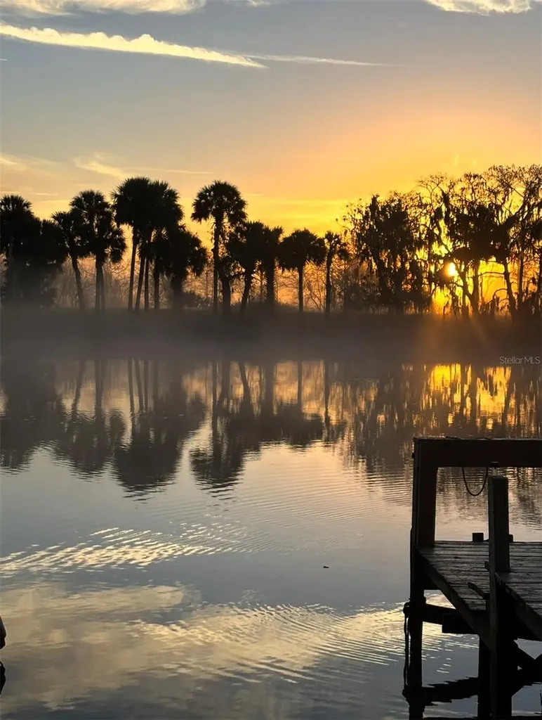 1129 Lemon Bluff Road Osteen FL 32764