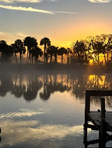 1129 Lemon Bluff Road Osteen FL 32764