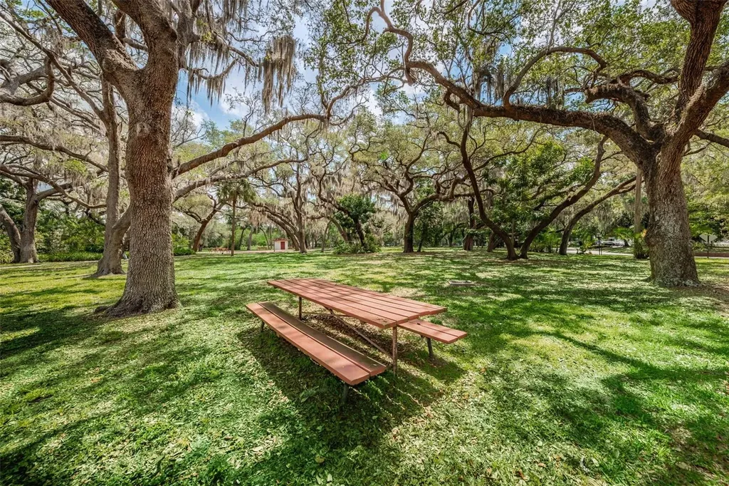 1001 Pearce Drive Clearwater FL 33764