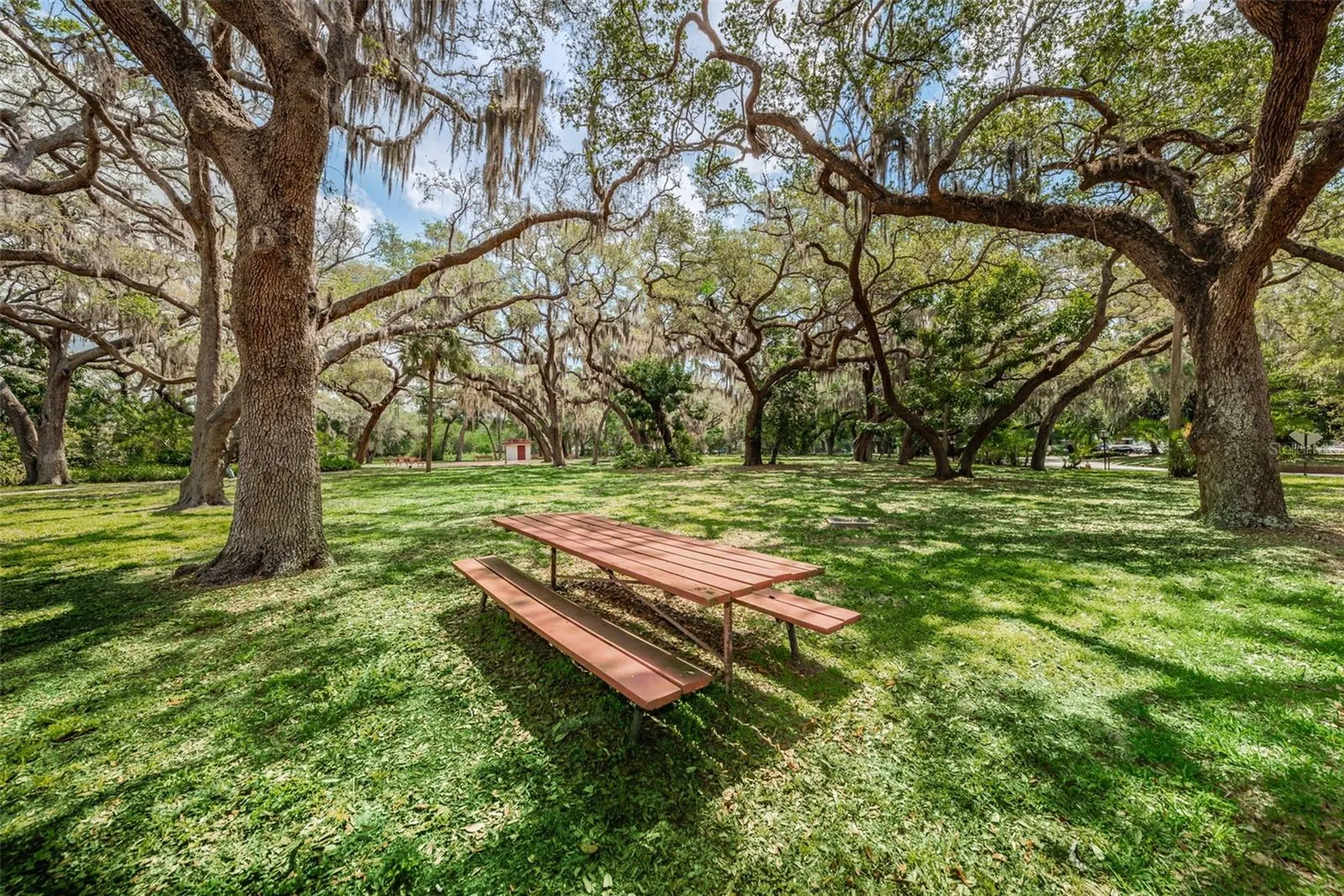 1001 Pearce Drive Clearwater FL 33764