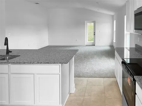 275 Verny Grove Lane Leesburg FL 34748
