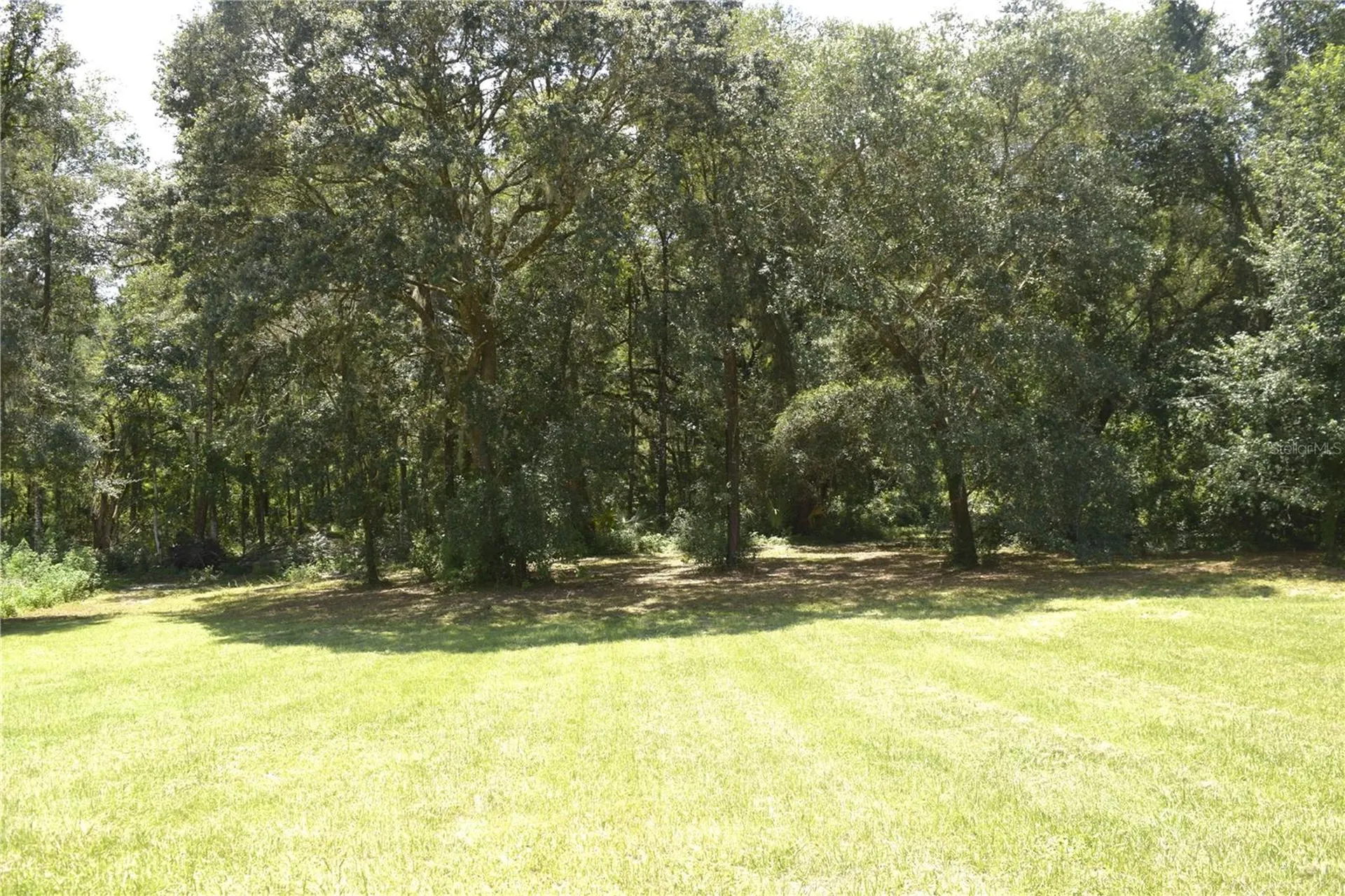 4444 SW 115th Street Ocala FL 34476