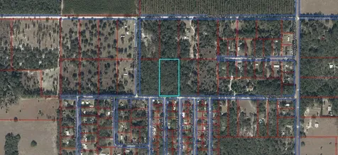 NW 27th Place Chiefland FL 32626